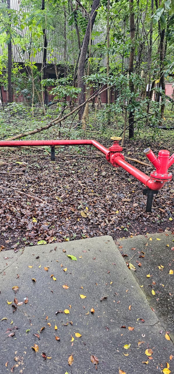 FOTO 1 - TUBULACAO.jpeg